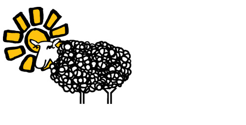 Molly the sheep